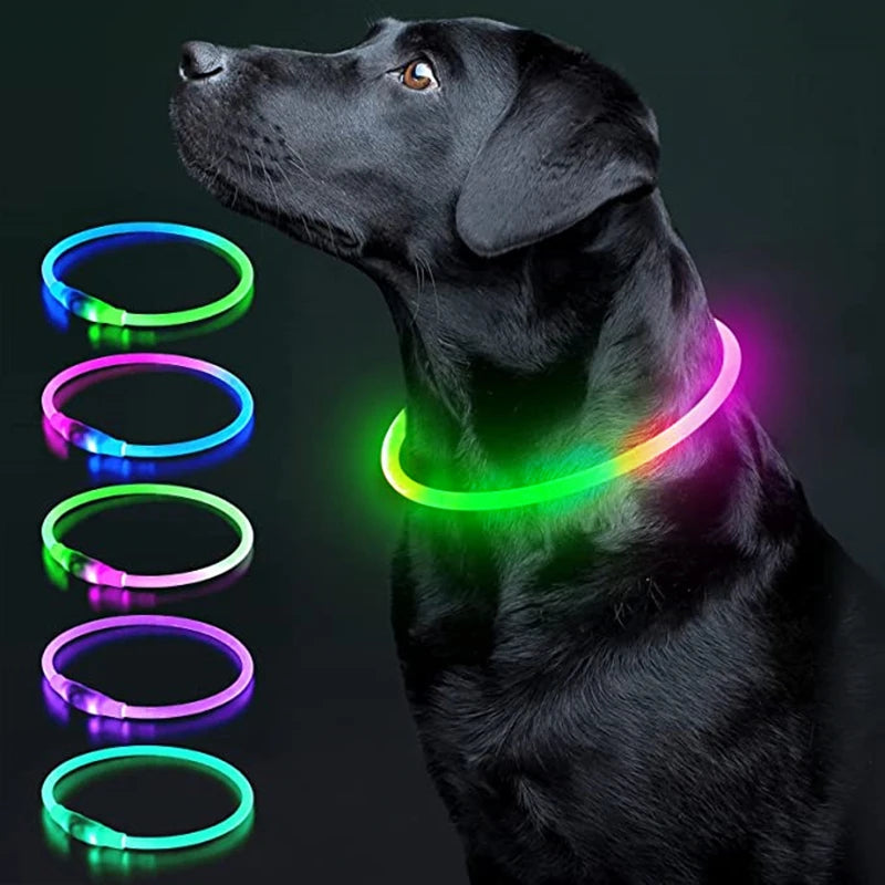 Aufladbares Neon Halsband für Ihr Haustier