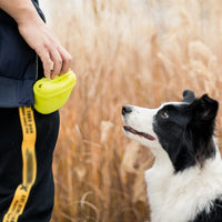 Hunde-Trainer Bauchtasche