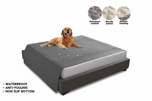 Haustierschutzdecke für Ihre Möbel