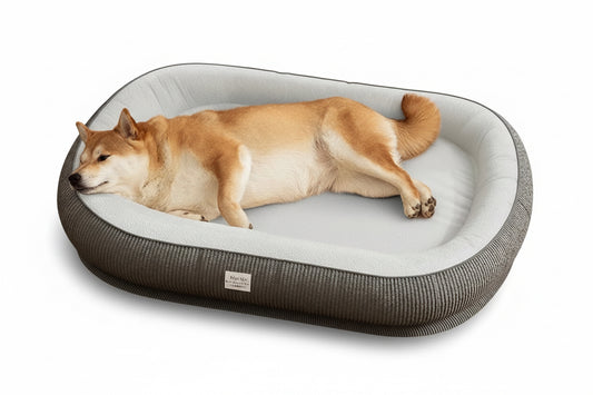 Viskoelastisches Haustierbett