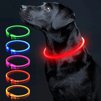 Aufladbares Neon Halsband für Ihr Haustier