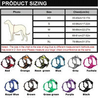 Licht reflektierendes Hundegeschirr