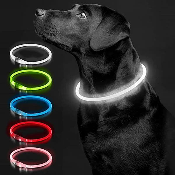 Aufladbares Neon Halsband für Ihr Haustier
