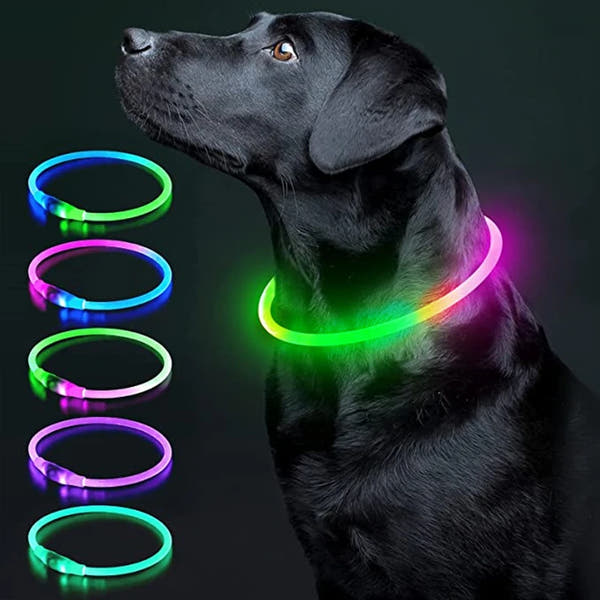 Aufladbares Neon Halsband für Ihr Haustier