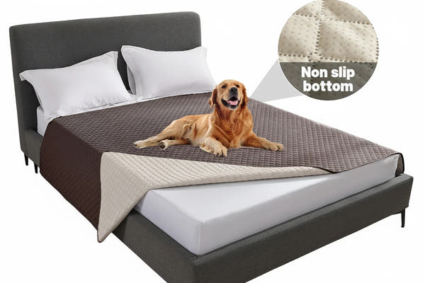 Haustierschutzdecke für Ihre Möbel