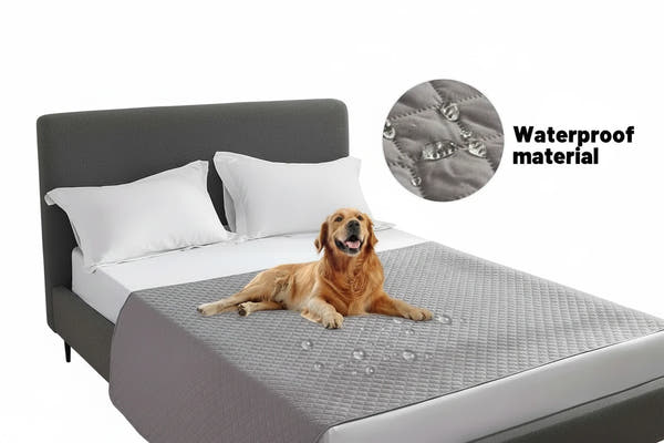 Haustierschutzdecke für Ihre Möbel