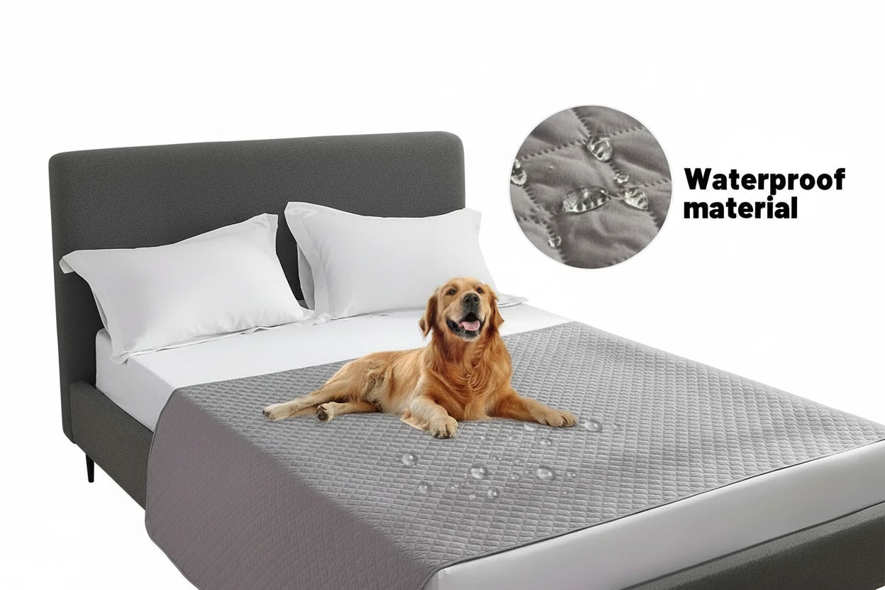 Haustierschutzdecke für Ihre Möbel