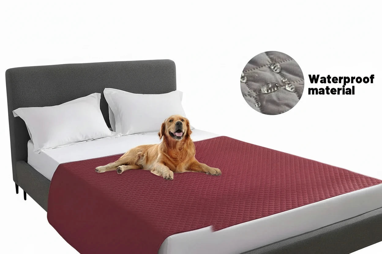 Haustierschutzdecke für Ihre Möbel