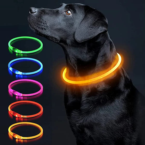 Aufladbares Neon Halsband für Ihr Haustier