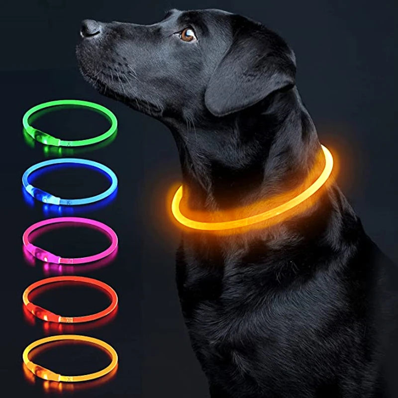 Aufladbares Neon Halsband für Ihr Haustier
