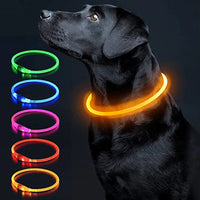 Aufladbares Neon Halsband für Ihr Haustier