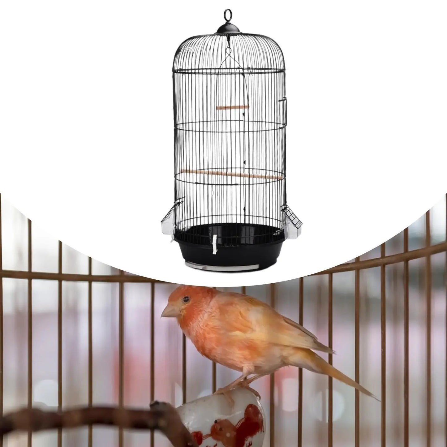 Klassischer Vogelkäfig mit zeitlosem Design