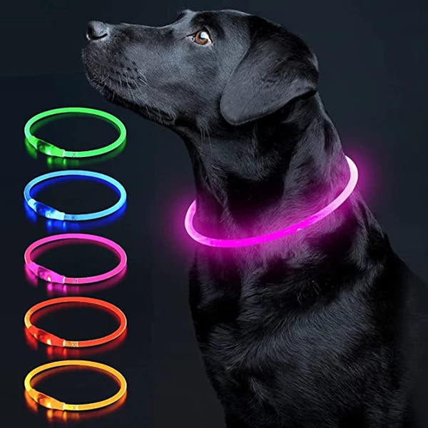 Aufladbares Neon Halsband für Ihr Haustier