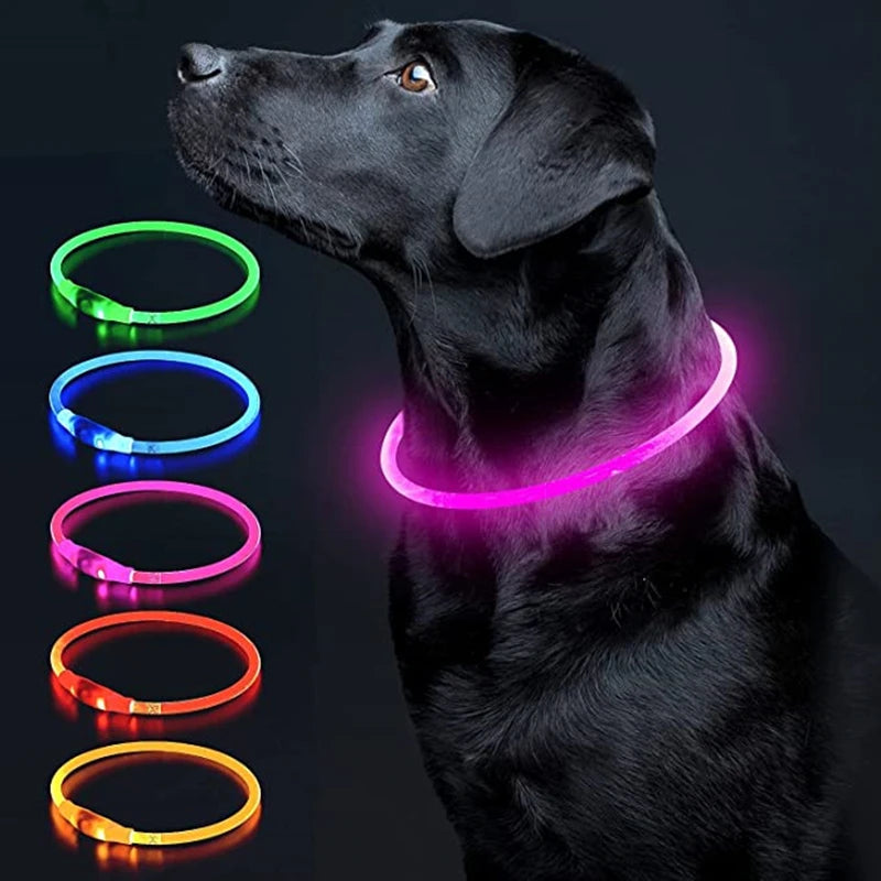 Aufladbares Neon Halsband für Ihr Haustier
