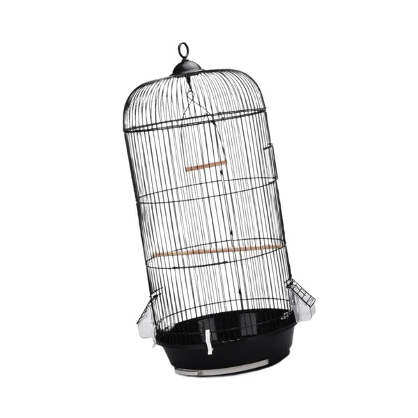 Klassischer Vogelkäfig mit zeitlosem Design