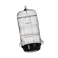 Klassischer Vogelkäfig mit zeitlosem Design