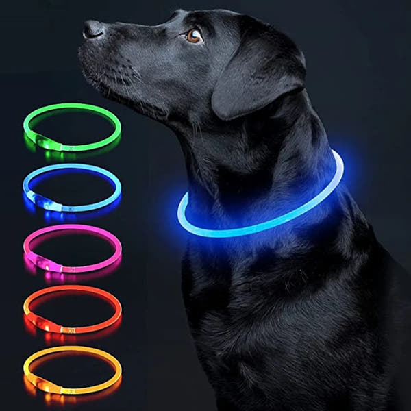 Aufladbares Neon Halsband für Ihr Haustier