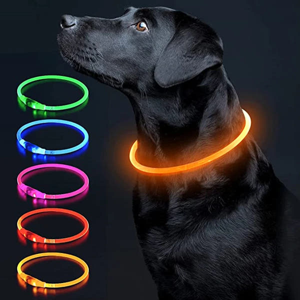 Aufladbares Neon Halsband für Ihr Haustier
