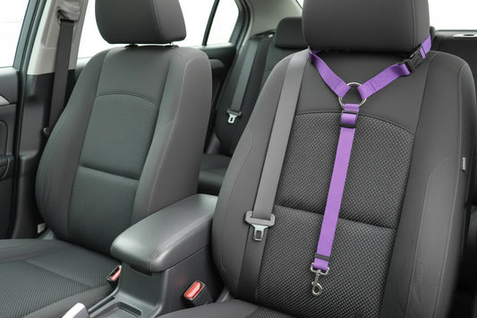 Sicherheitsgurt für Ihr Haustier