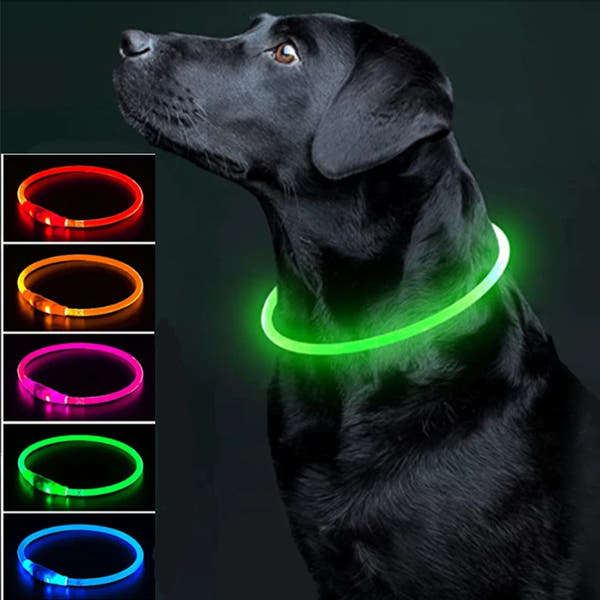 Aufladbares Neon Halsband für Ihr Haustier