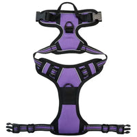 Licht reflektierendes Hundegeschirr