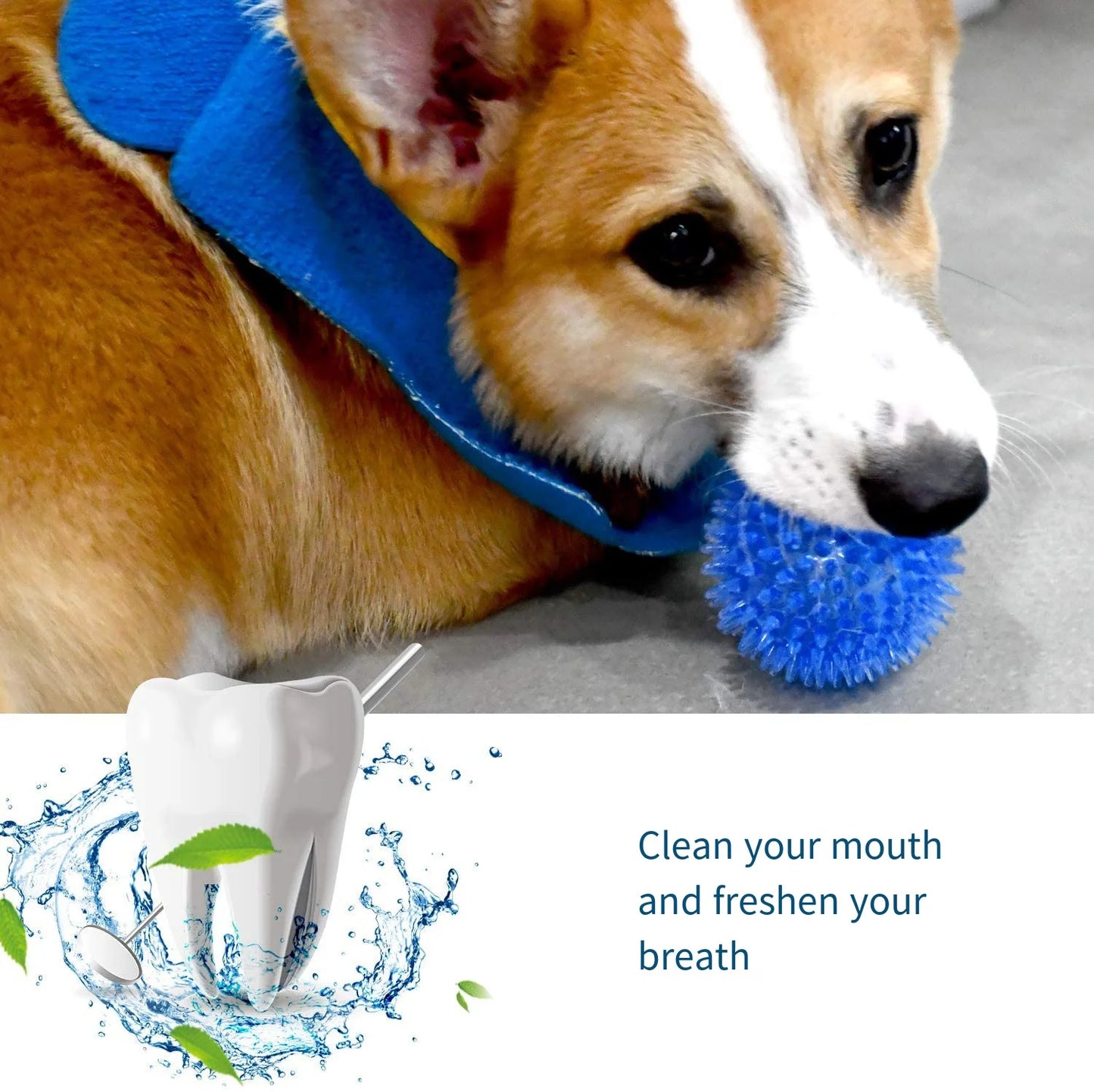 Kauball Spielzeug für Hunde